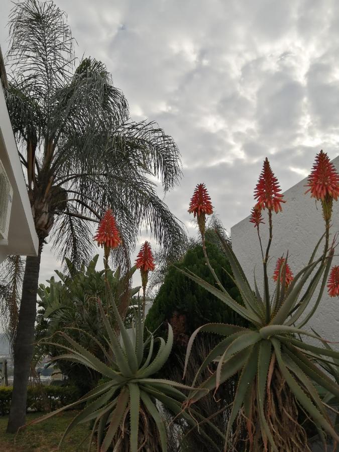 Palm View Guest House Pretoria Ngoại thất bức ảnh